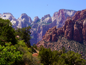 Zion National Park