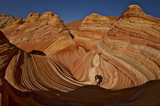 the wave / Coyote Buttes
