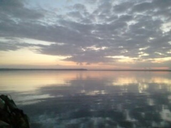 Cumberland Island NS