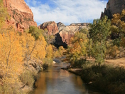 Zion National Park