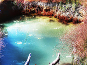 Yellowstone National Park