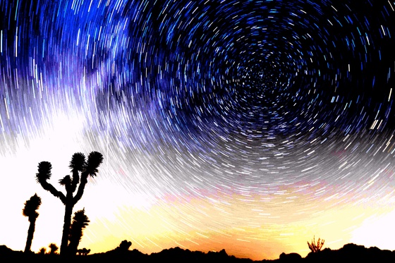 Joshua Tree NP