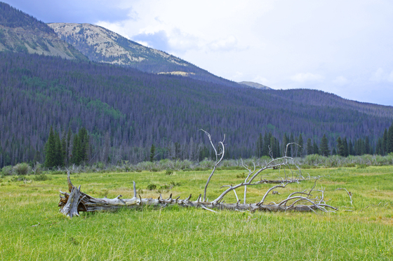 Rocky Mountain National Park