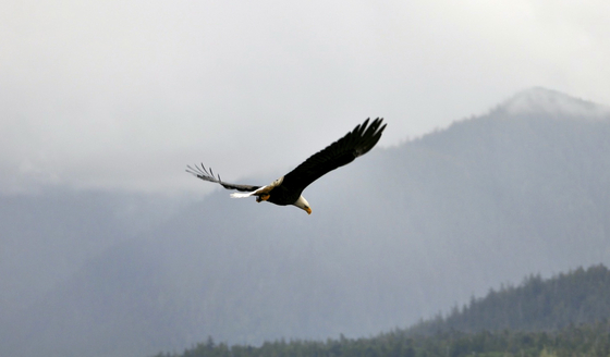 Tongass National Forest