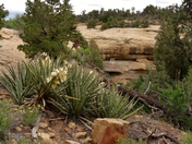 Mesa Verde National Park