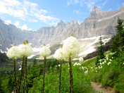 Many Glaciers National Park