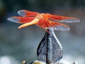 LBJ National Historic Park