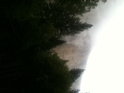 Yosemite National Park