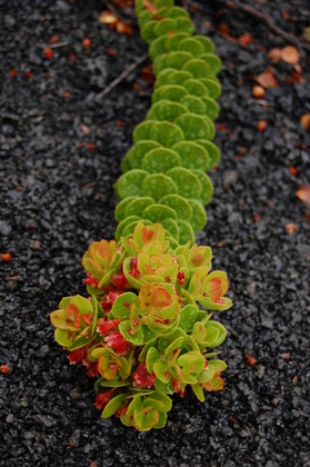 Hawaii Volcanoes National Park