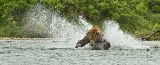 Katmai National Park