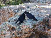 Petrified Forest National Park, AZ