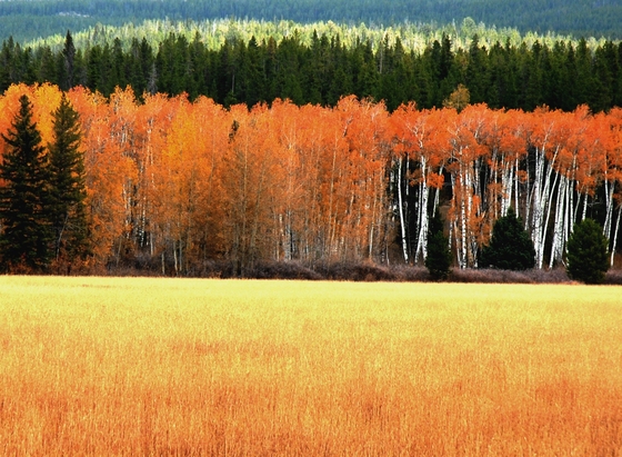 Grand Teton National Park, Wyoming