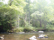Great Smokey Mountains National Park