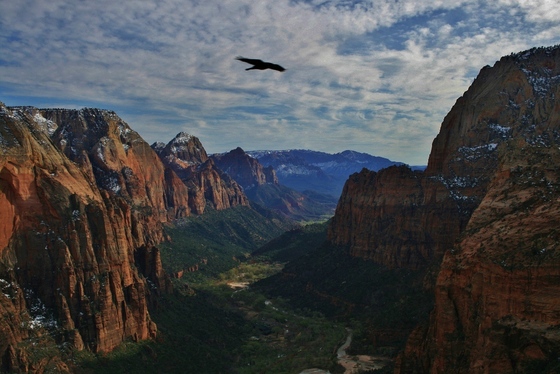 Zion National Park