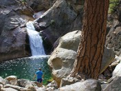 Seqoia National Forest