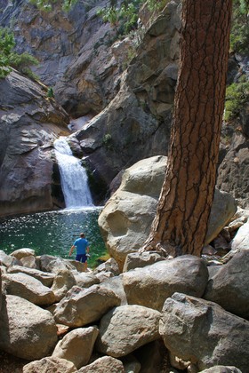 Seqoia National Forest