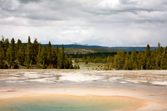 Yellowstone National Park