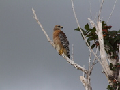 Everglades National Park