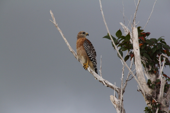 Everglades National Park