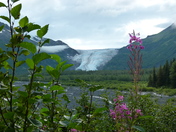 Kenai Fjords National Park