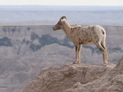 Badlands National Park