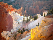 ceadar breaks nat. mow. 