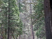 National Park Service