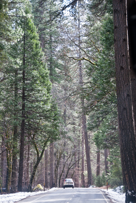 National Park Service