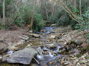 Blue Ridge Parkway North Carolina
