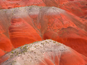 National Park Service