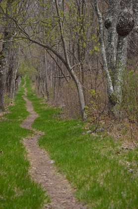 Shenandoah National Park