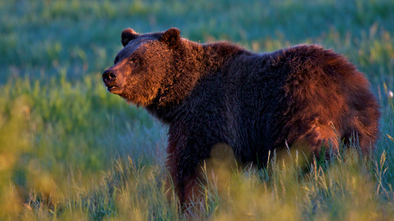 Grand Teton National Park