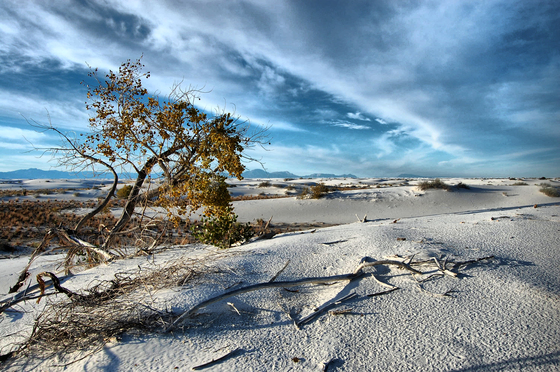 White Sands National park New Mexico