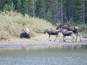 Glacier National Park