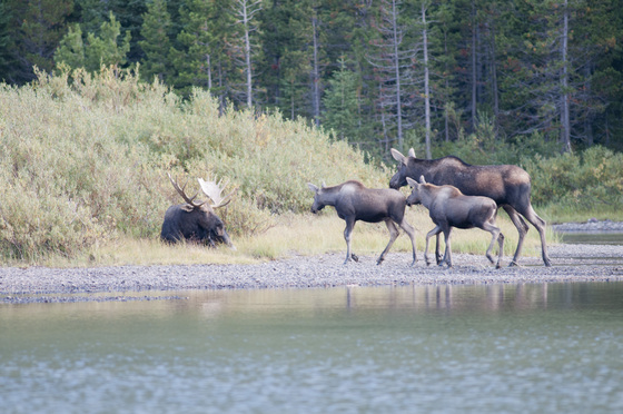 Glacier National Park