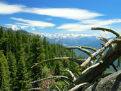 Sequoia National Park
