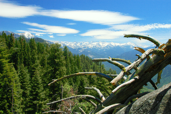 Sequoia National Park