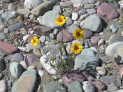 Glacier National Park