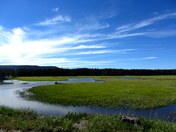 Yellowstone National Park
