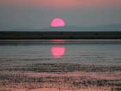 Red Rock Lakes National Wildlife Refuge