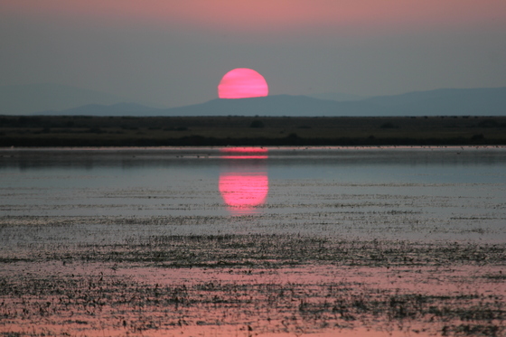 Red Rock Lakes National Wildlife Refuge
