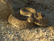 Southern California BLM Land