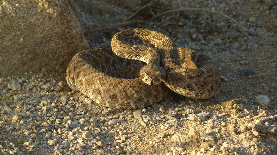 Southern California BLM Land