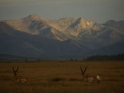 Sawtooth National Recreation Area