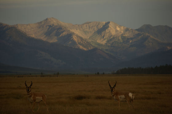 Sawtooth National Recreation Area