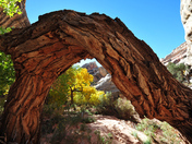Natural Bridges National Monument