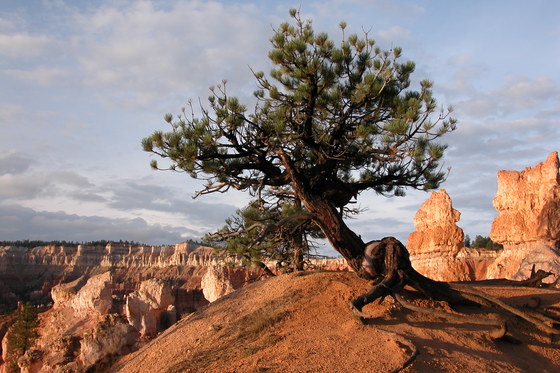 Brice Canyon
