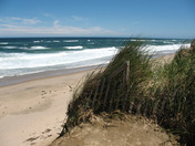 Cape Cod National Seashore