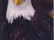 Bloomington National Wildlife Refuge