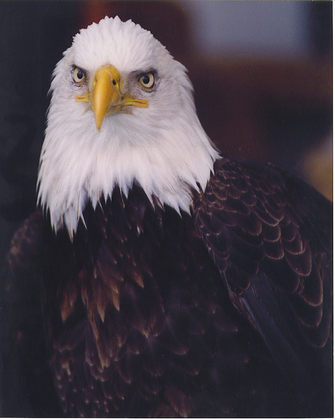 Bloomington National Wildlife Refuge